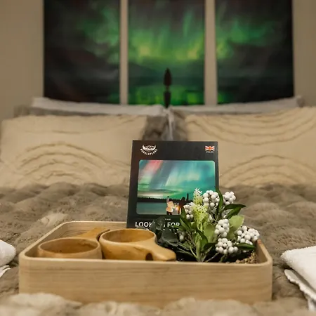 Snowy Dream * Rovaniemi