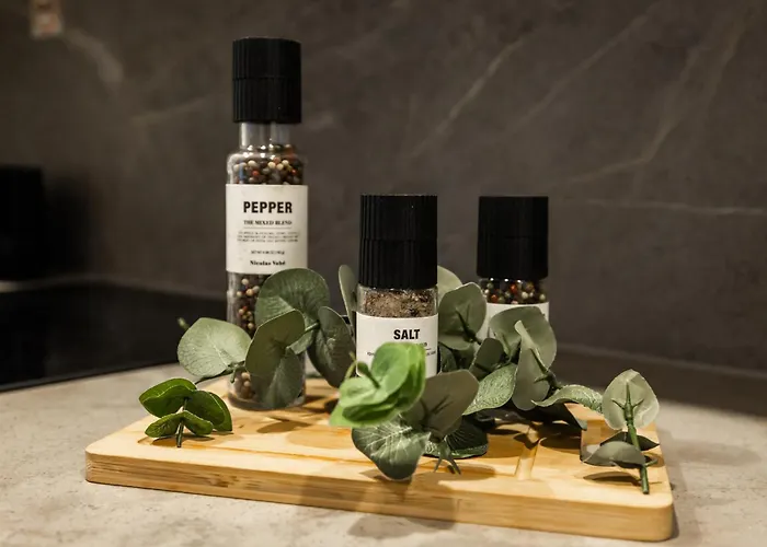 Apartamento Snowy Dream *