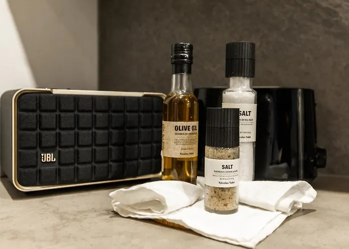 Snowy Dream Rovaniemi